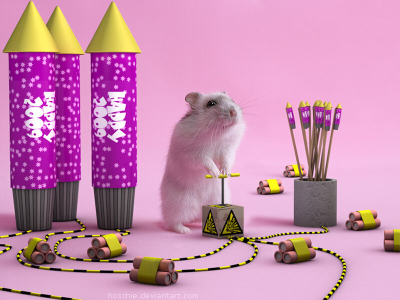 hamster with fireworks