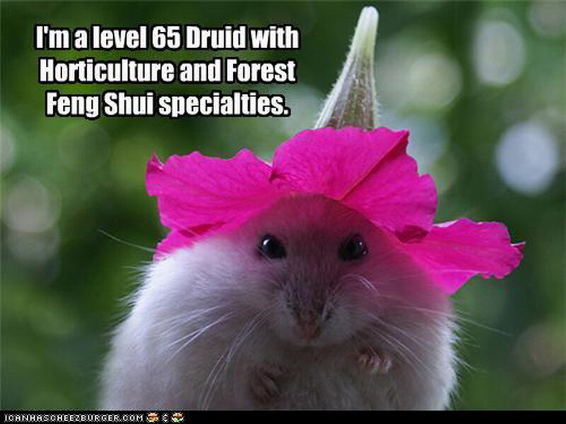 Hamster with Flower Hat