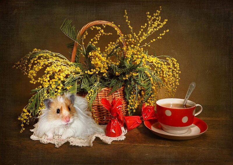 Hamster with Flowers