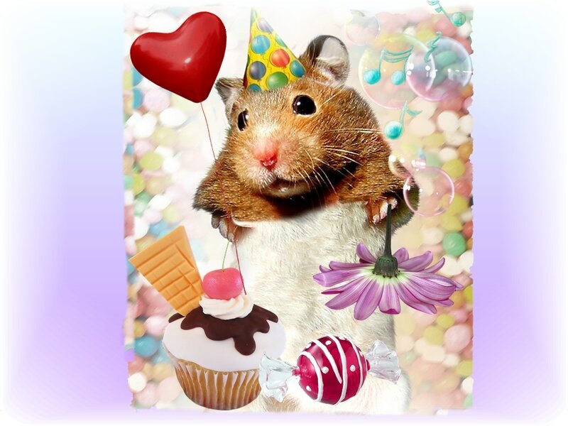 Hamster with Party Hat