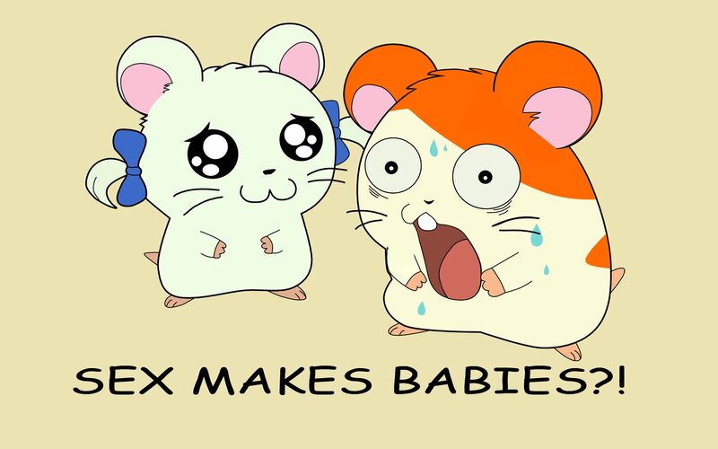 hamsters and babies