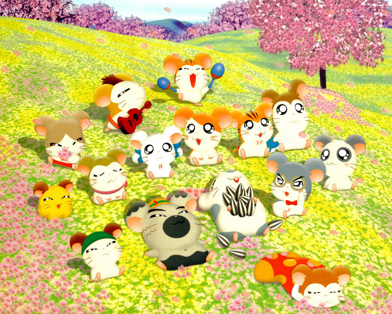 Hamsters in Field