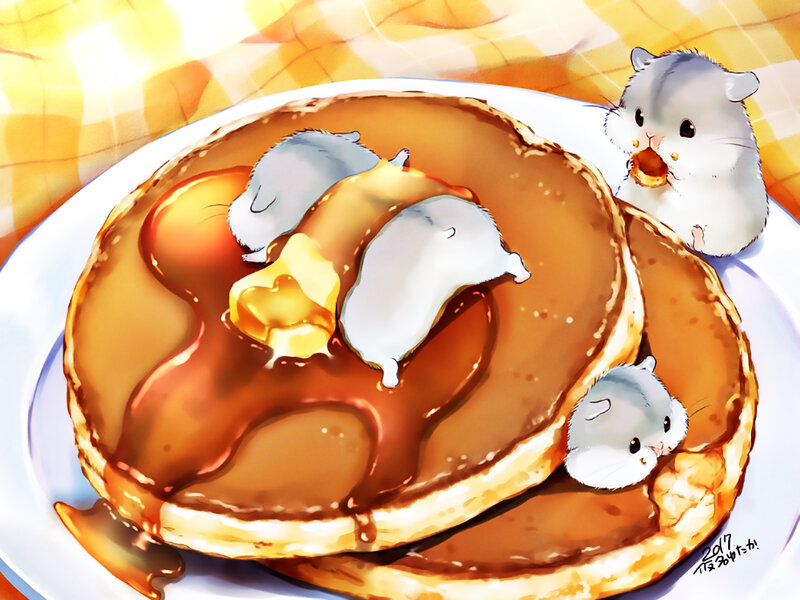 Hamsters on Pancakes