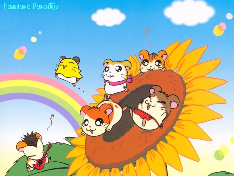 Hamsters on Sunflower