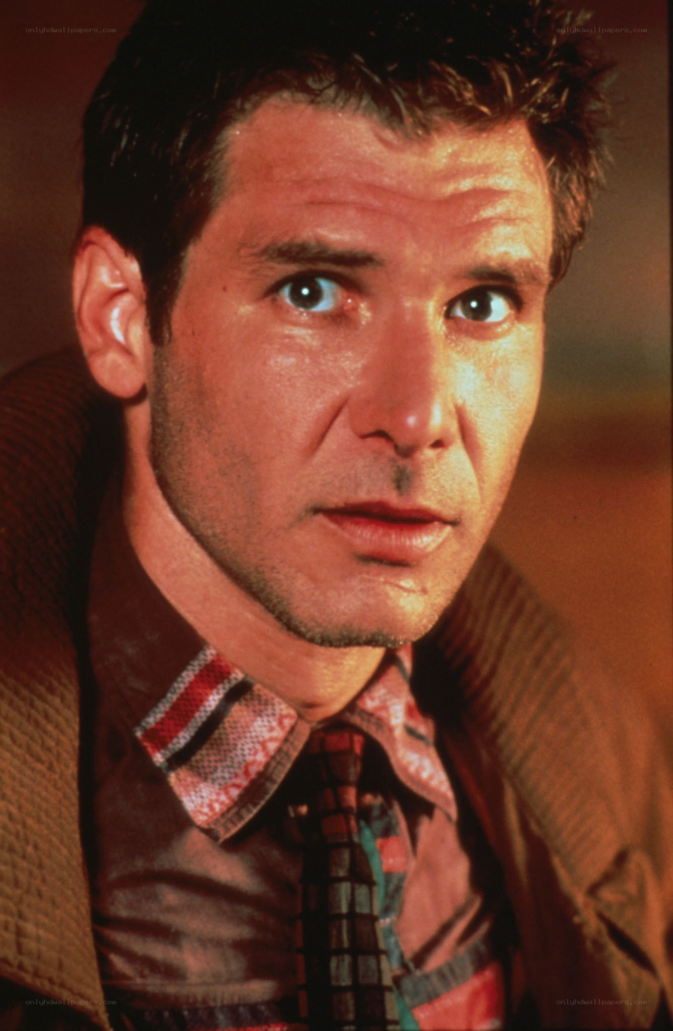 Han Solo in a brown jacket