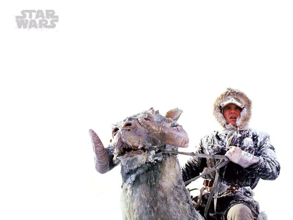 Han Solo on tauntaun