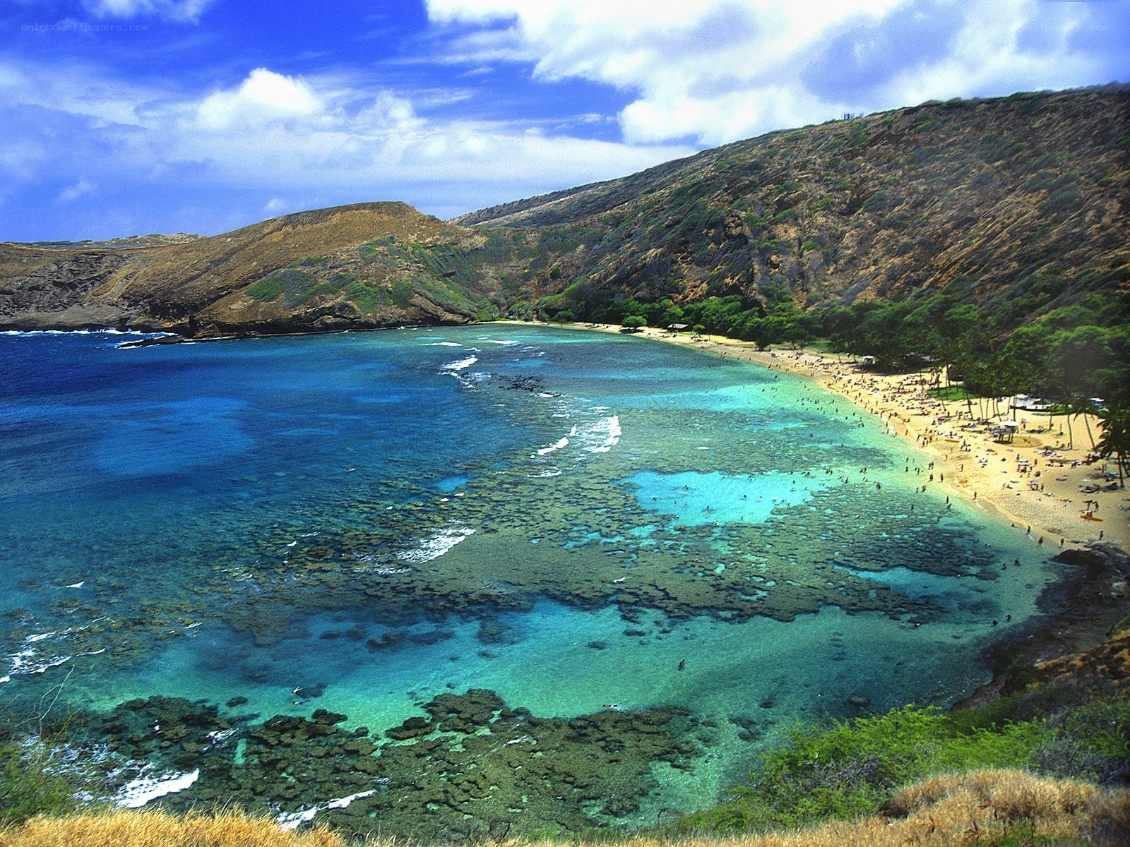 Hanauma Bay beach scene
