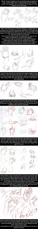 hand anatomy tutorial