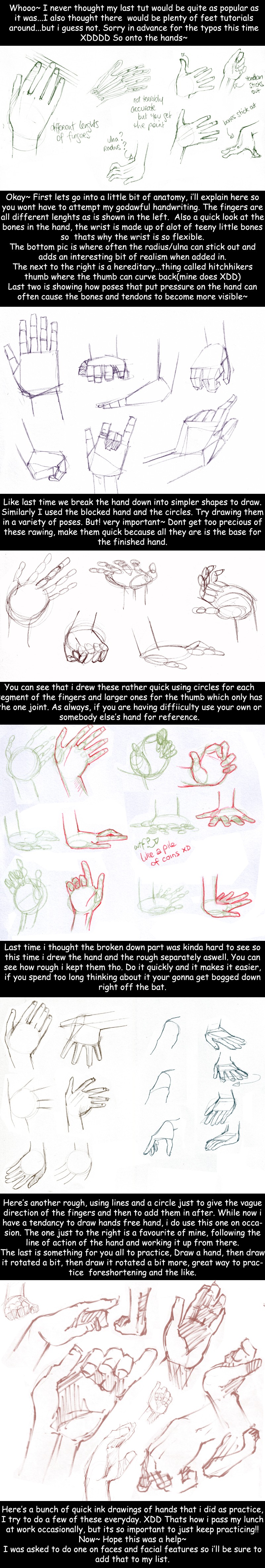 hand anatomy tutorial