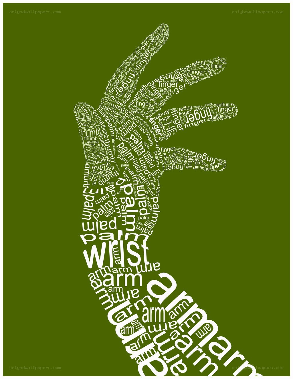 hand anatomy word art