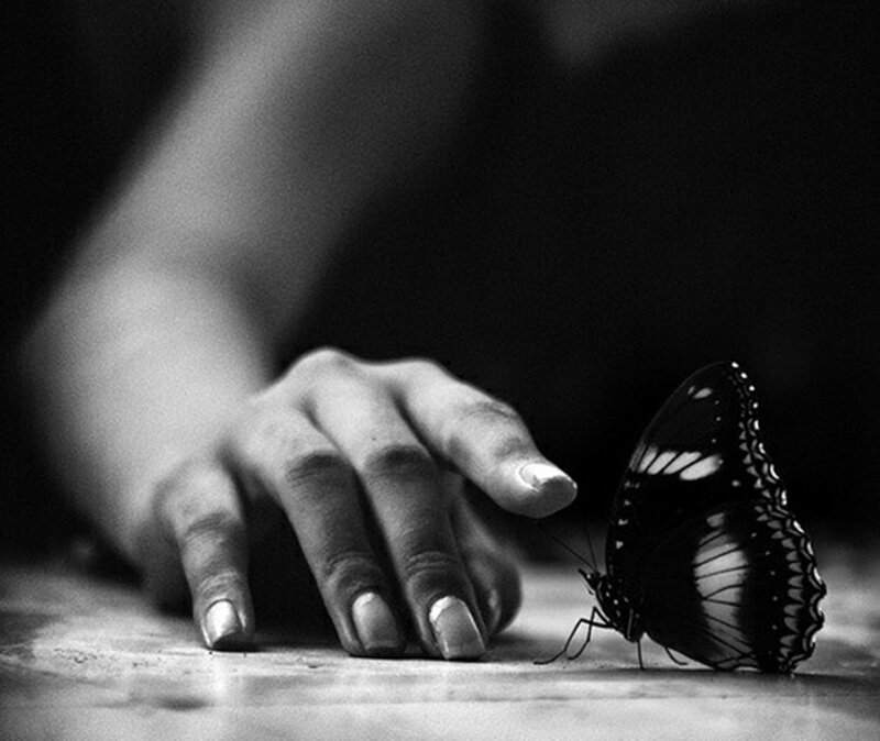 Hand and Butterfly