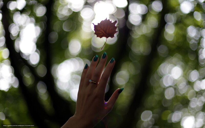 hand catching falling leaf