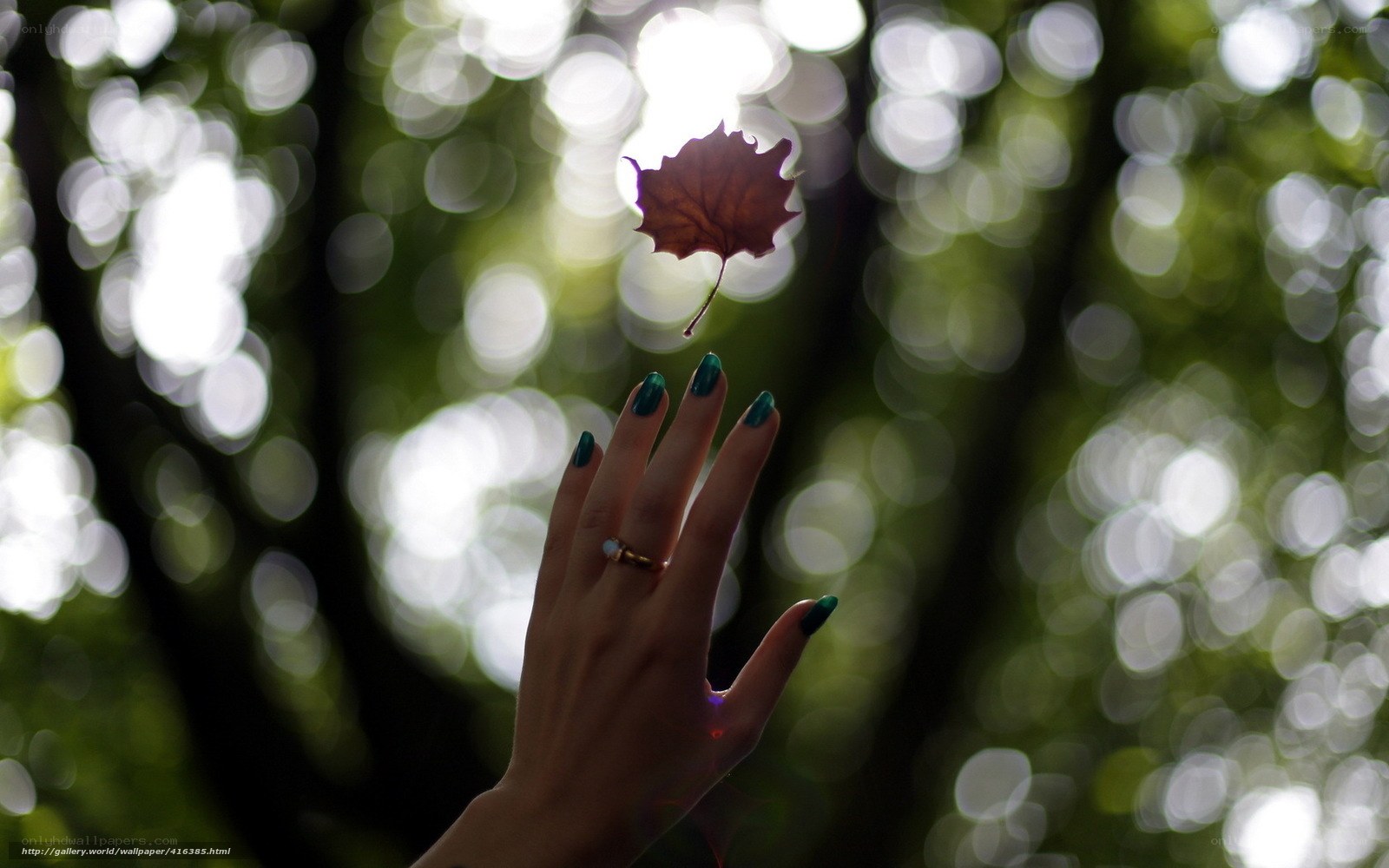 hand catching falling leaf