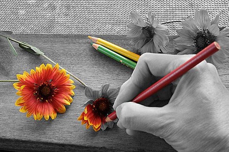Hand Coloring Flowers