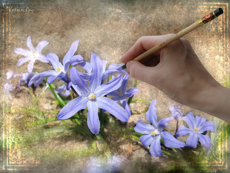 Hand Drawing Blue Flowers