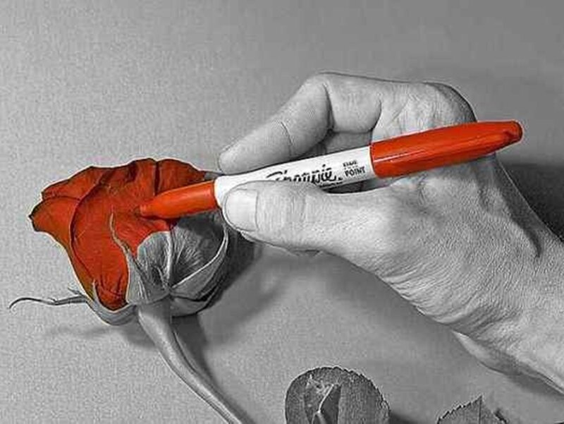 Hand Drawing Rose