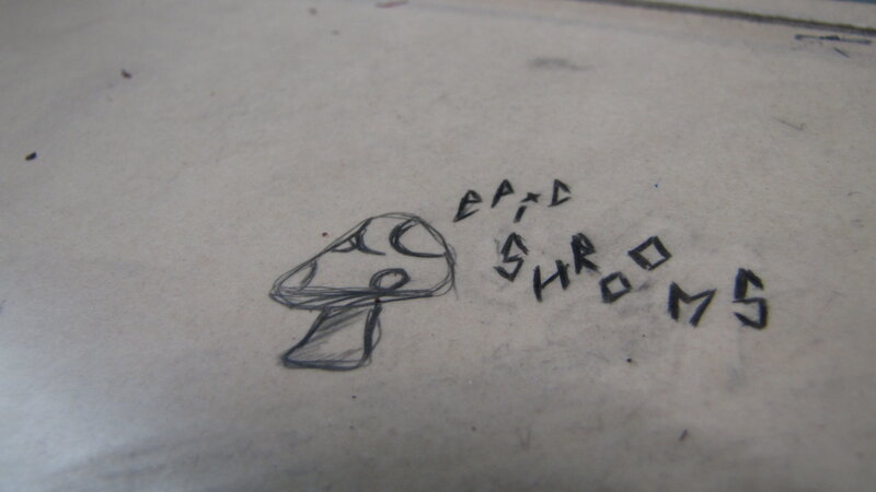 hand-drawn mushroom sketch