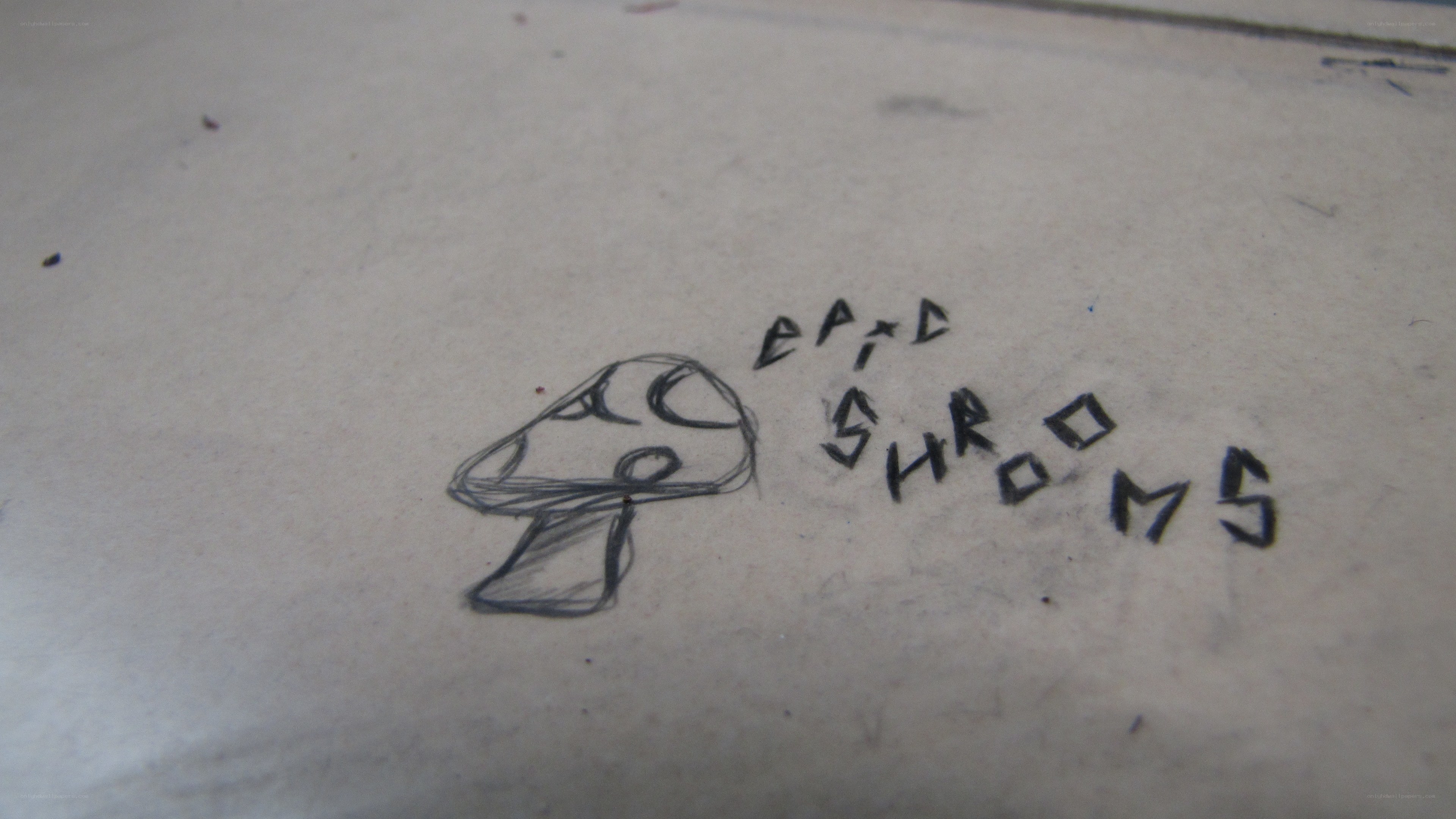 hand-drawn mushroom sketch