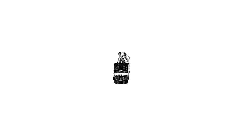 Hand Grenade Illustration