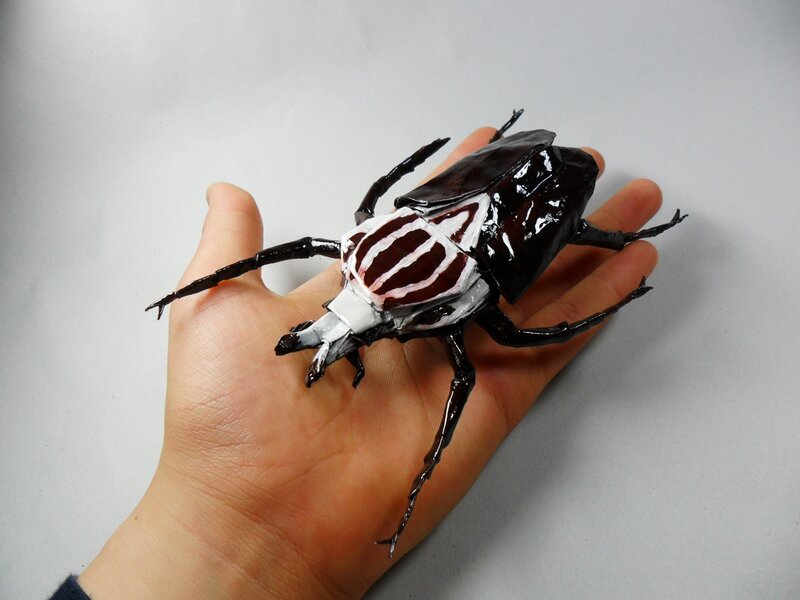 Hand holding a beetle model
