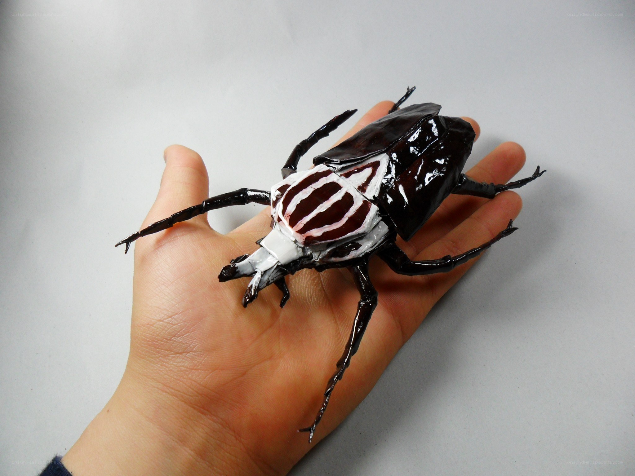Hand holding a beetle model