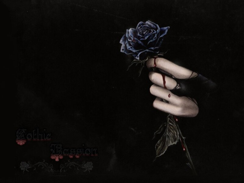 hand holding a blue rose