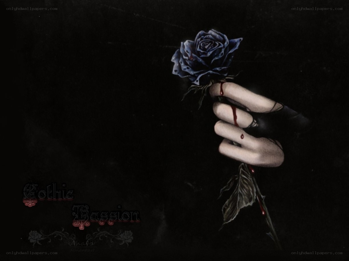 hand holding a blue rose