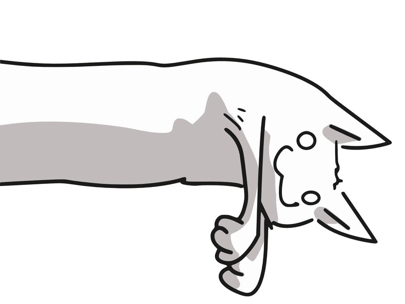 hand holding a cat