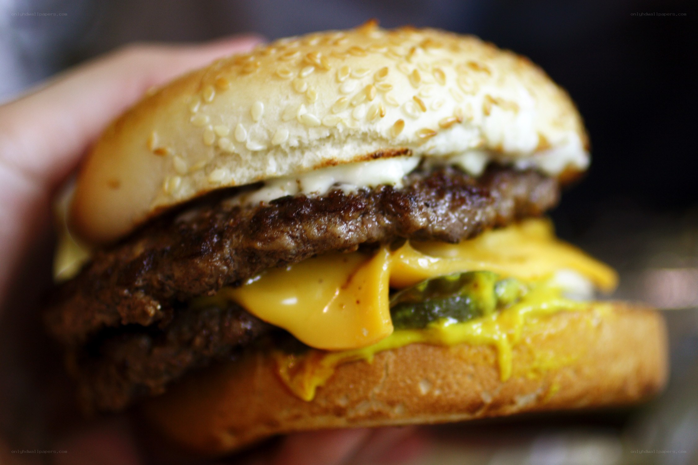 hand holding a cheeseburger