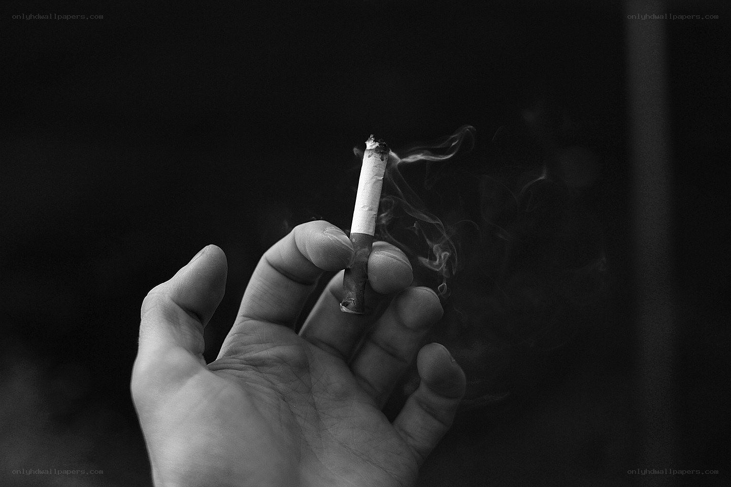 hand holding a cigarette