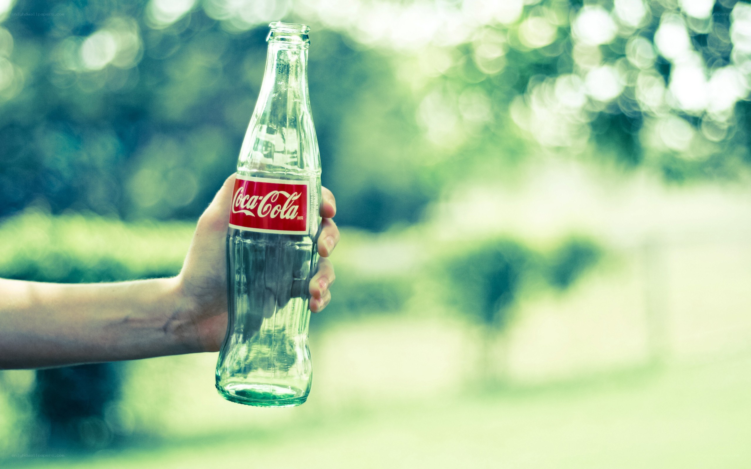 Hand holding a Coca-Cola bottle