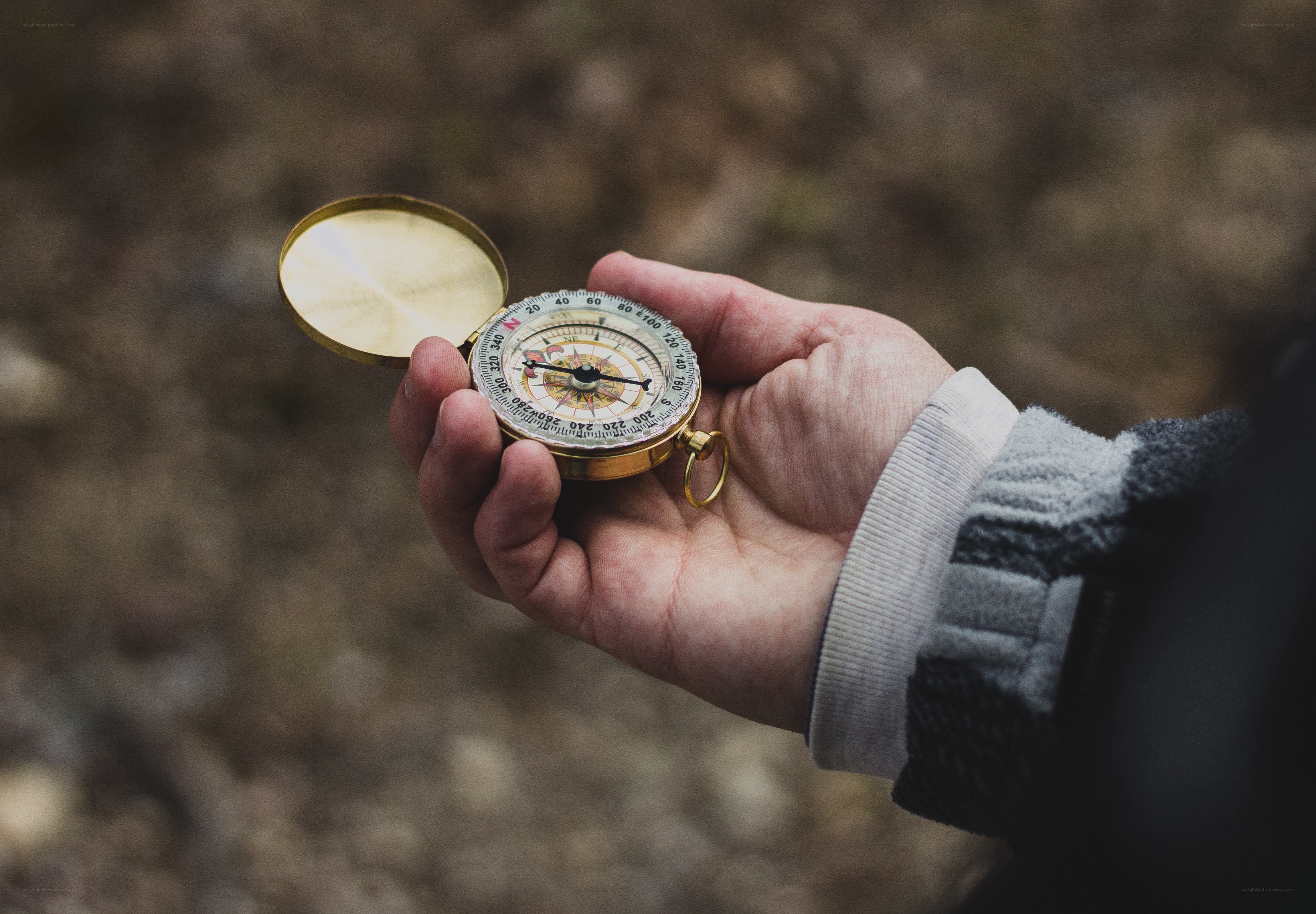 hand holding a compass