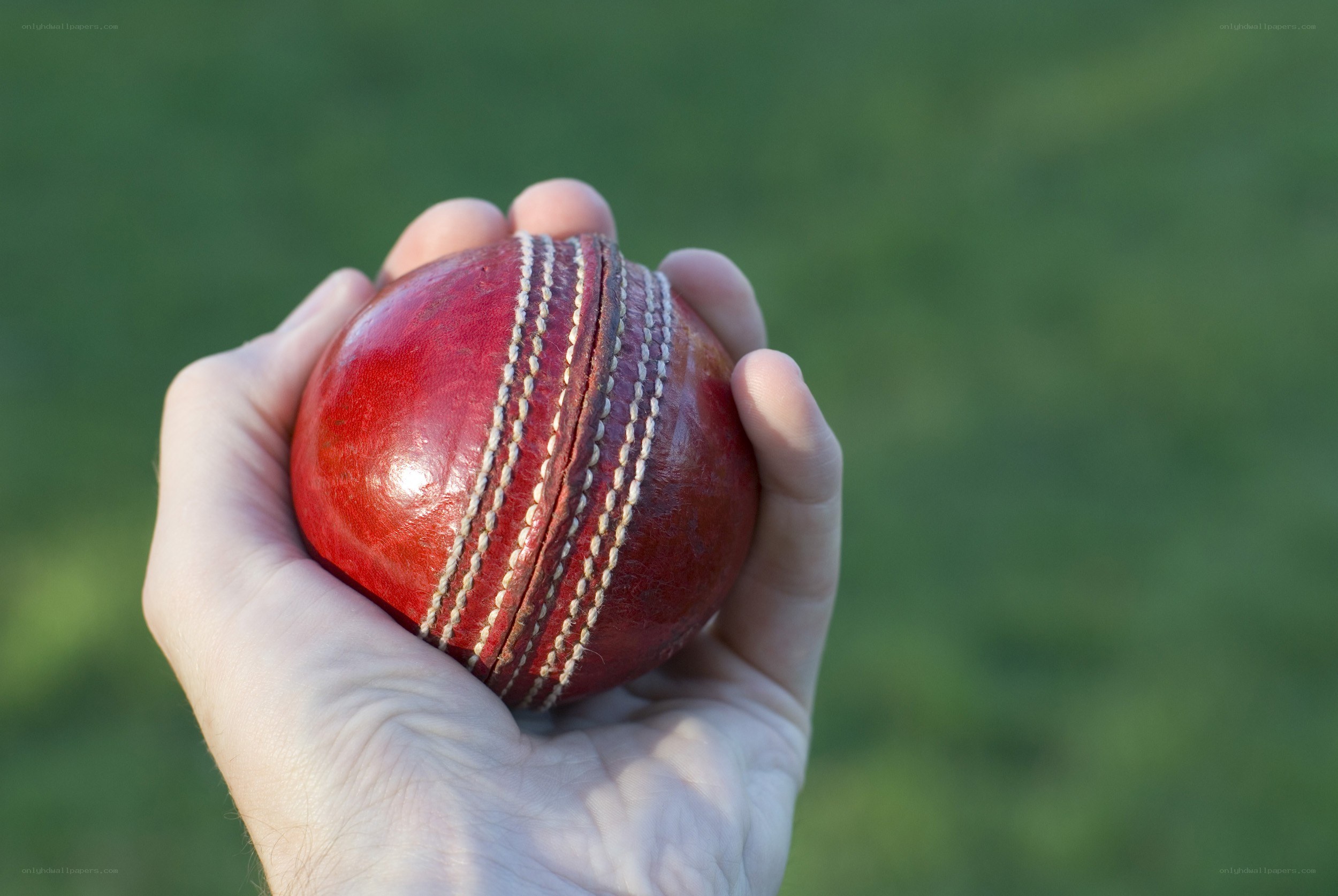 hand holding a cricket ball