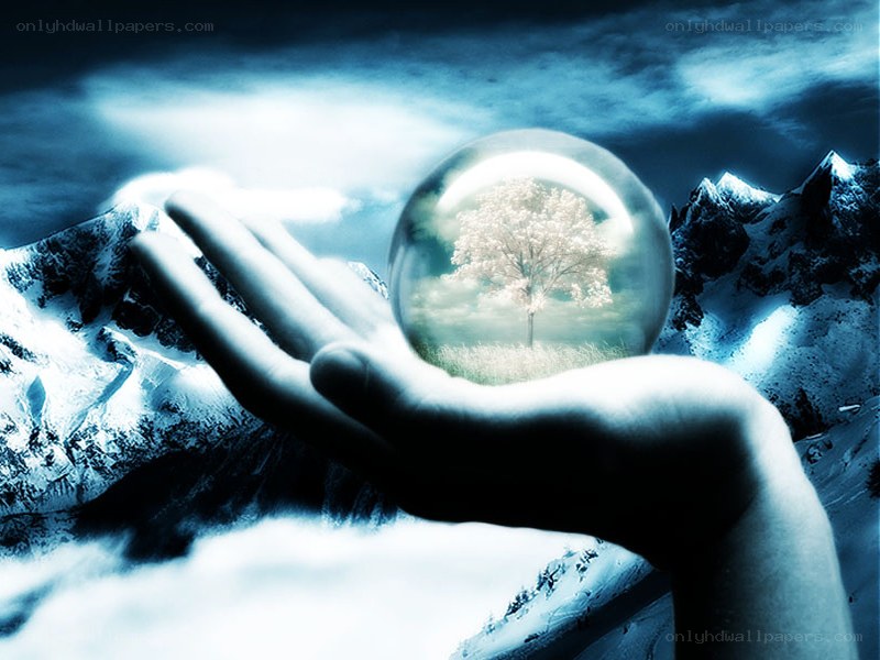 Hand holding a crystal ball