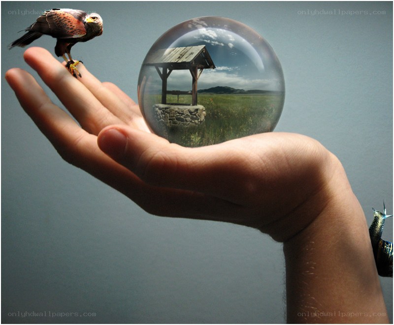 hand holding a crystal ball