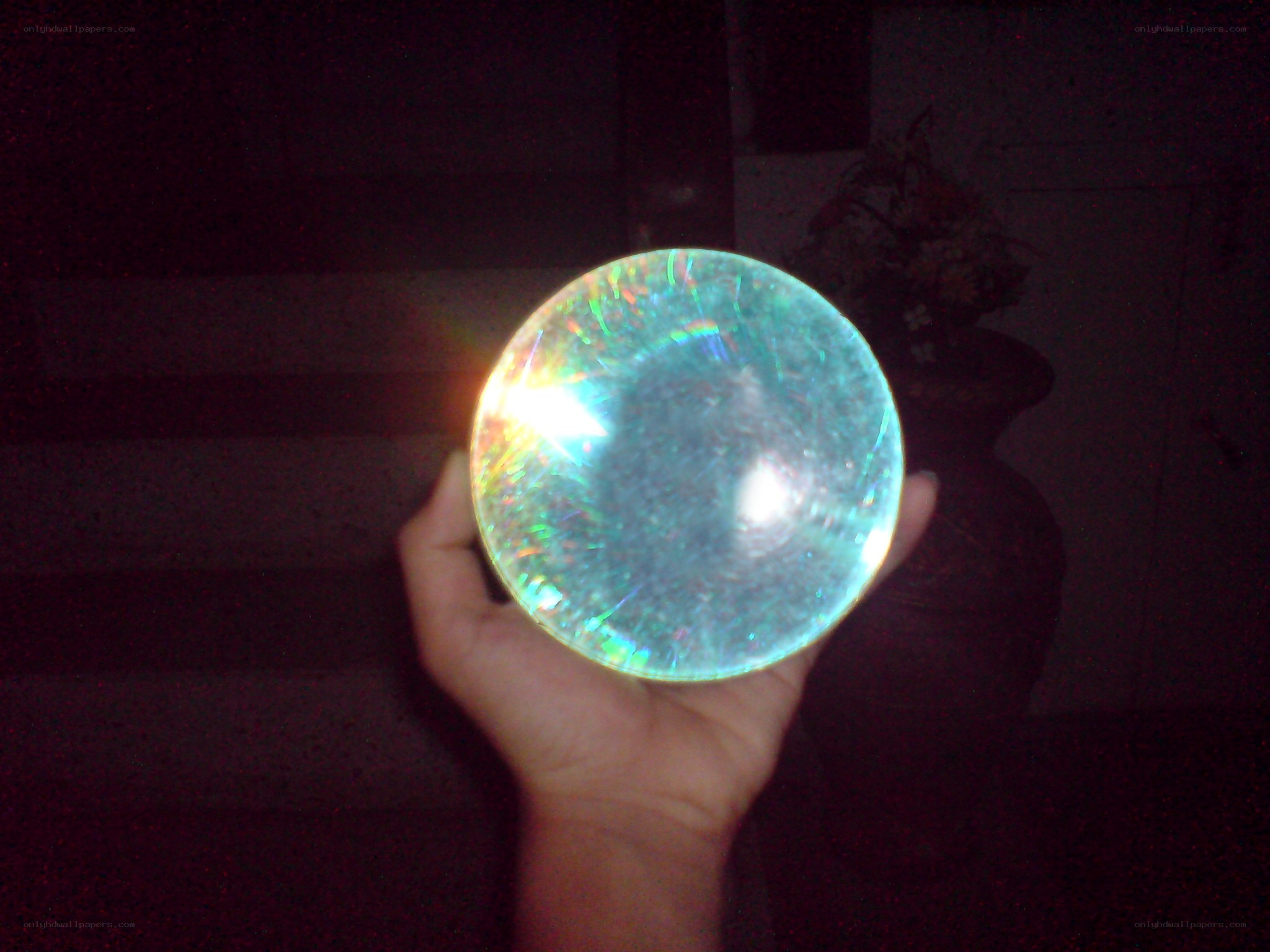 hand holding a crystal ball