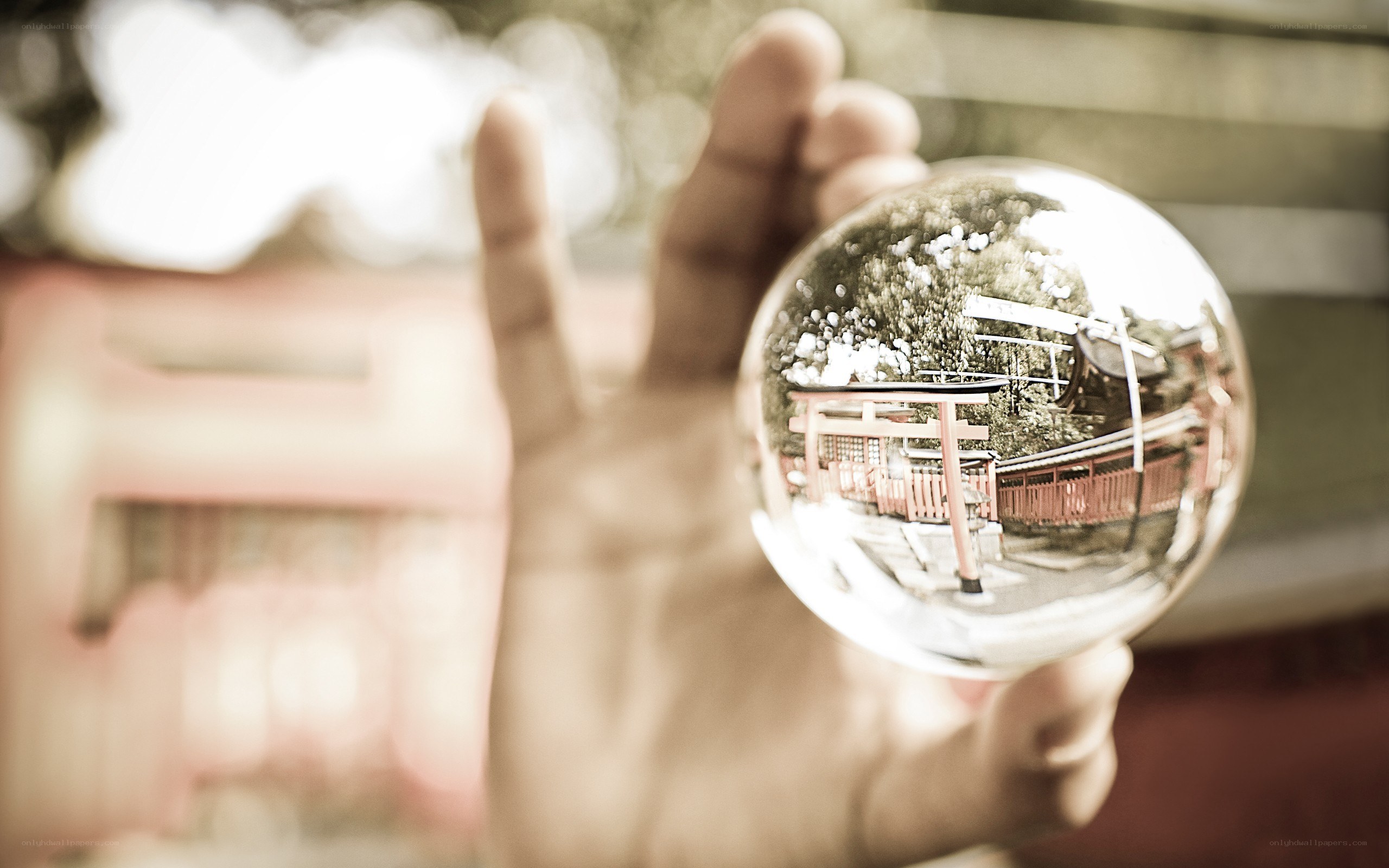 Hand holding a crystal ball