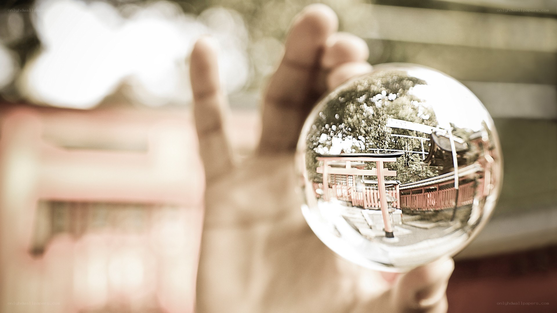 Hand holding a crystal ball