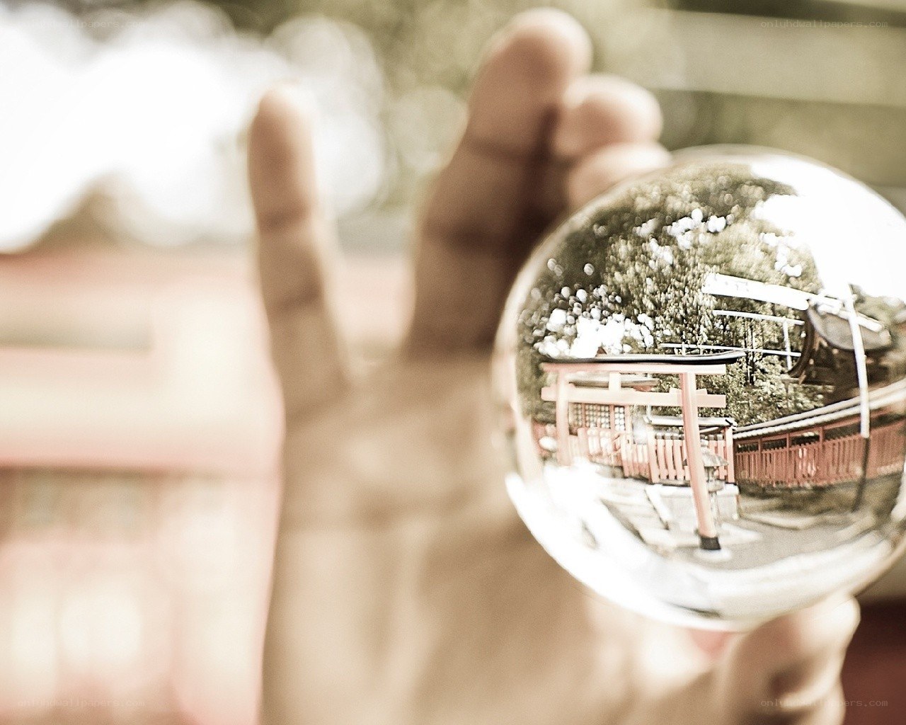 Hand holding a crystal ball
