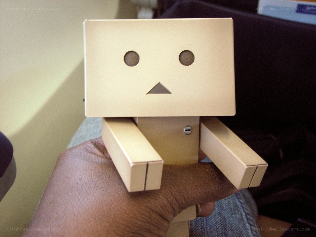 hand holding a danbo figure
