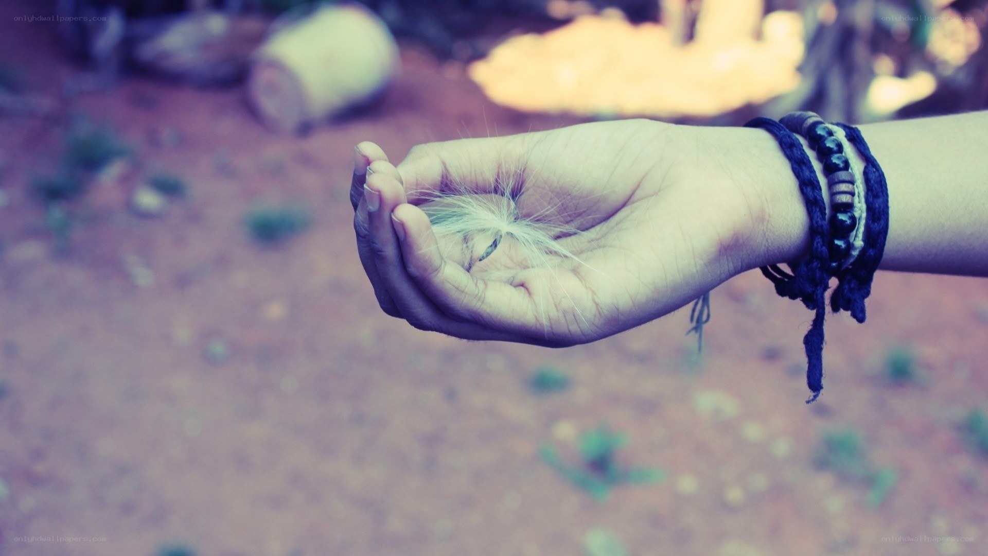 hand holding a dandelion seed