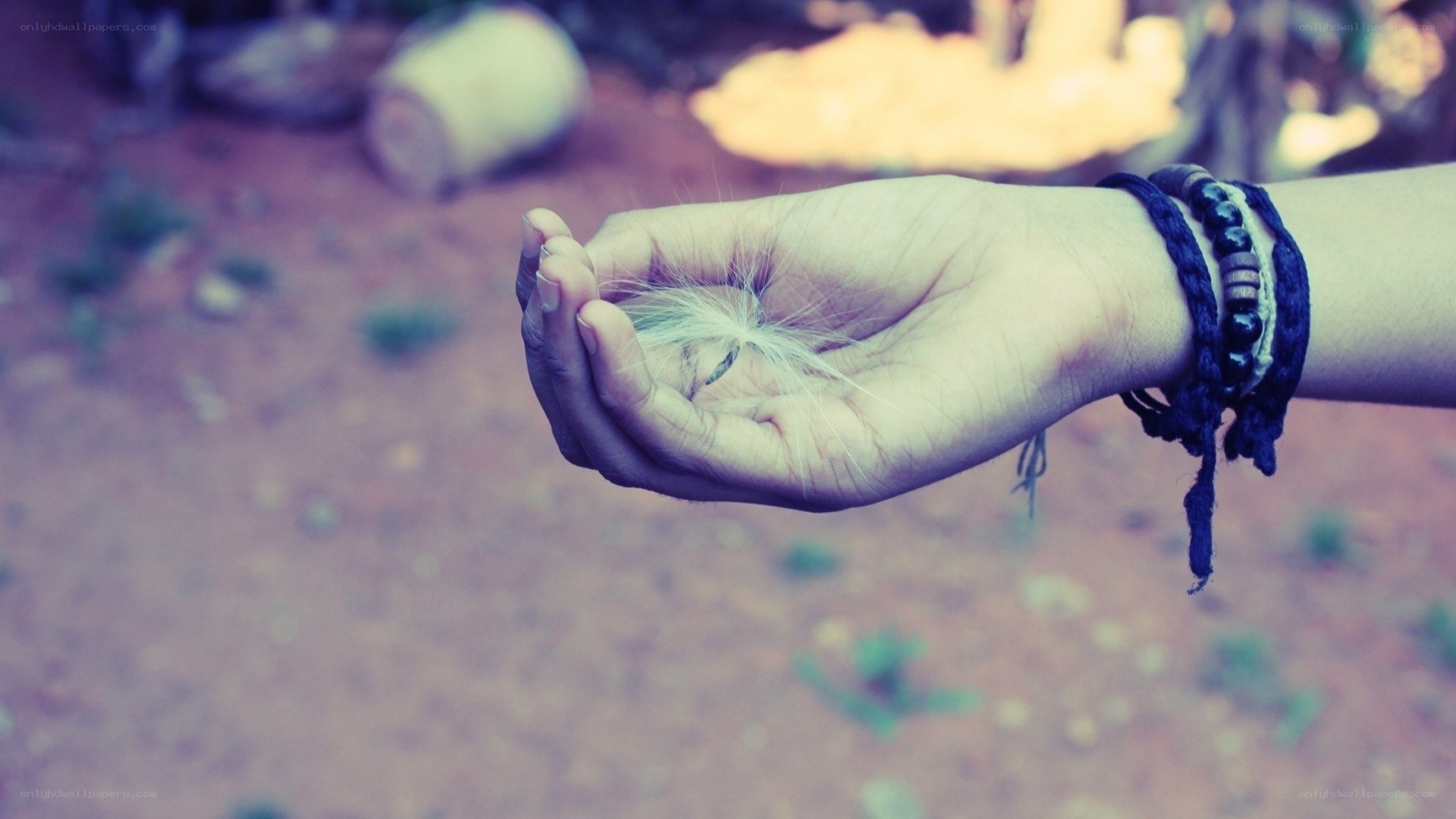 hand holding a dandelion seed