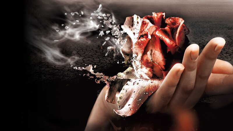 Hand Holding a Decaying Rose