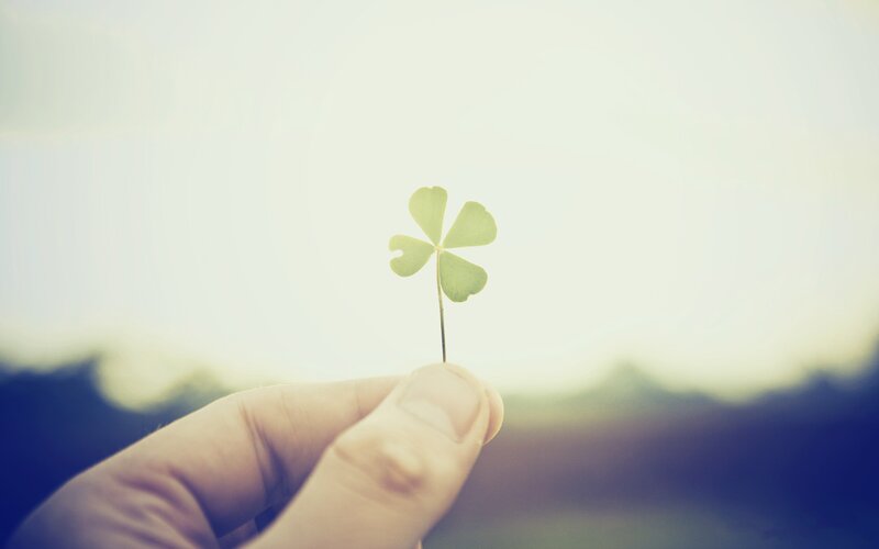 hand holding a four-leaf clover