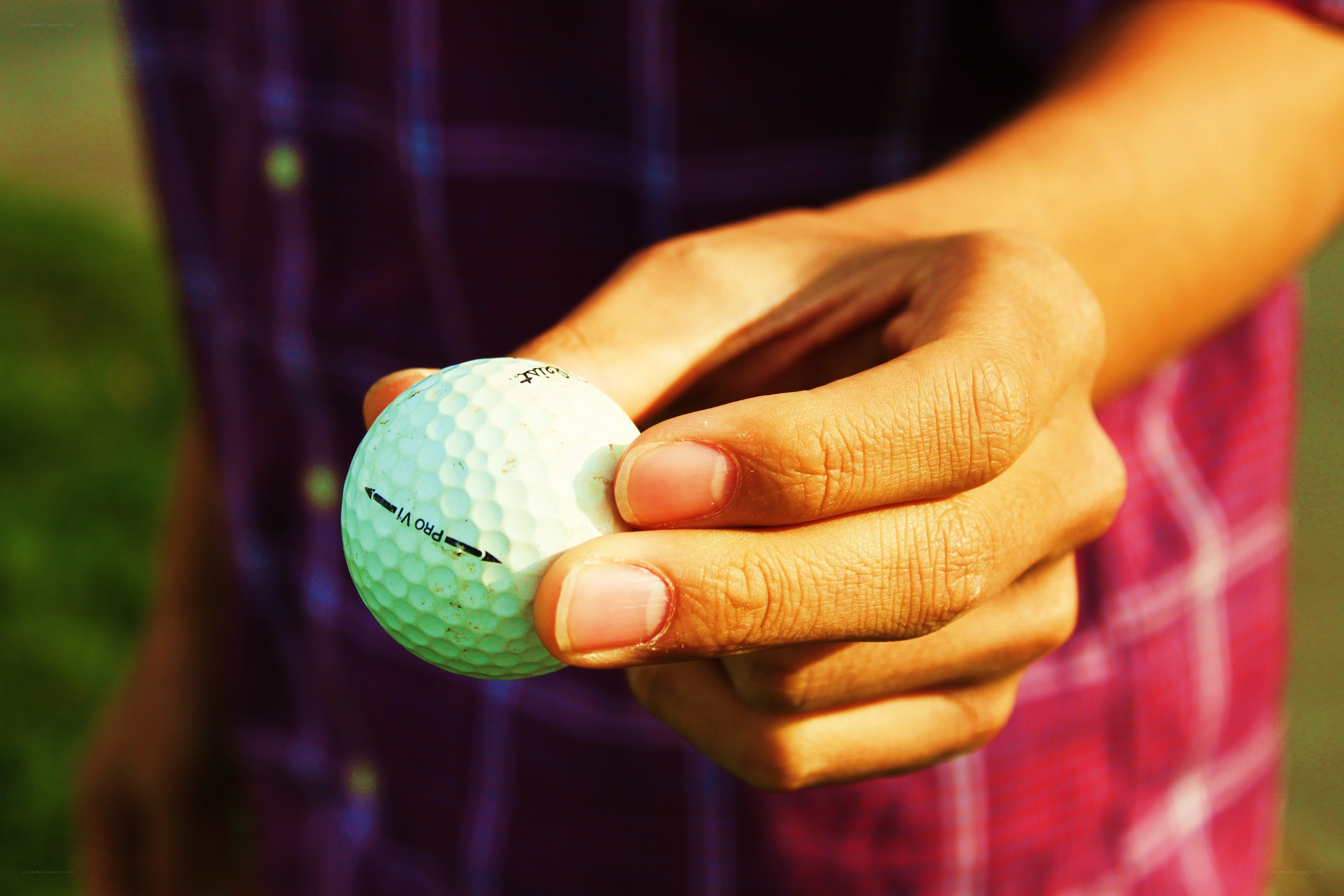 hand holding a golf ball