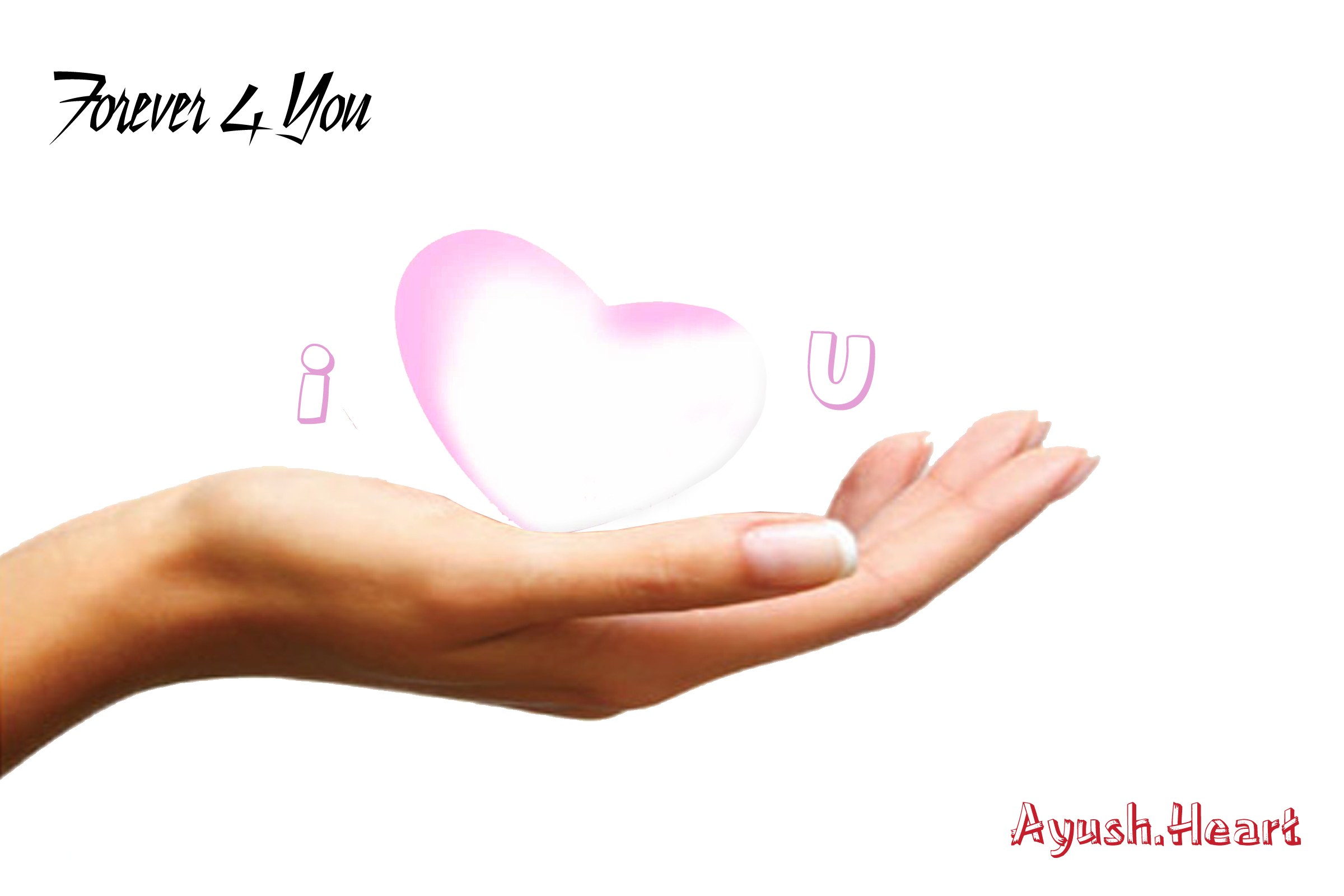 hand holding a heart