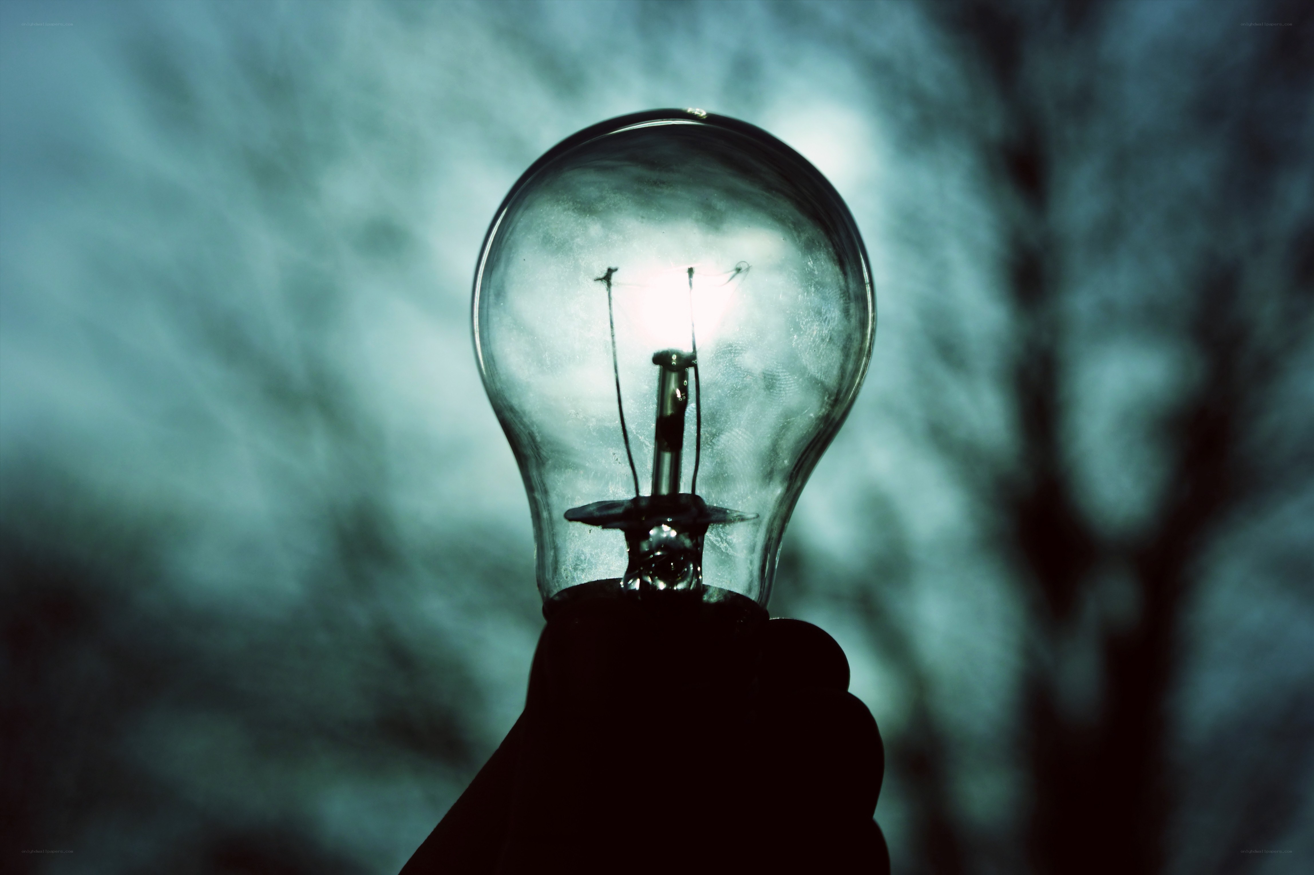 Hand holding a lit bulb
