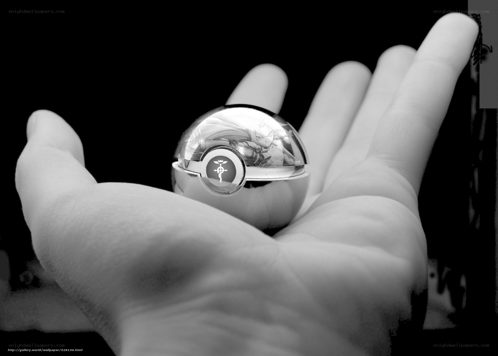 hand holding a poké ball