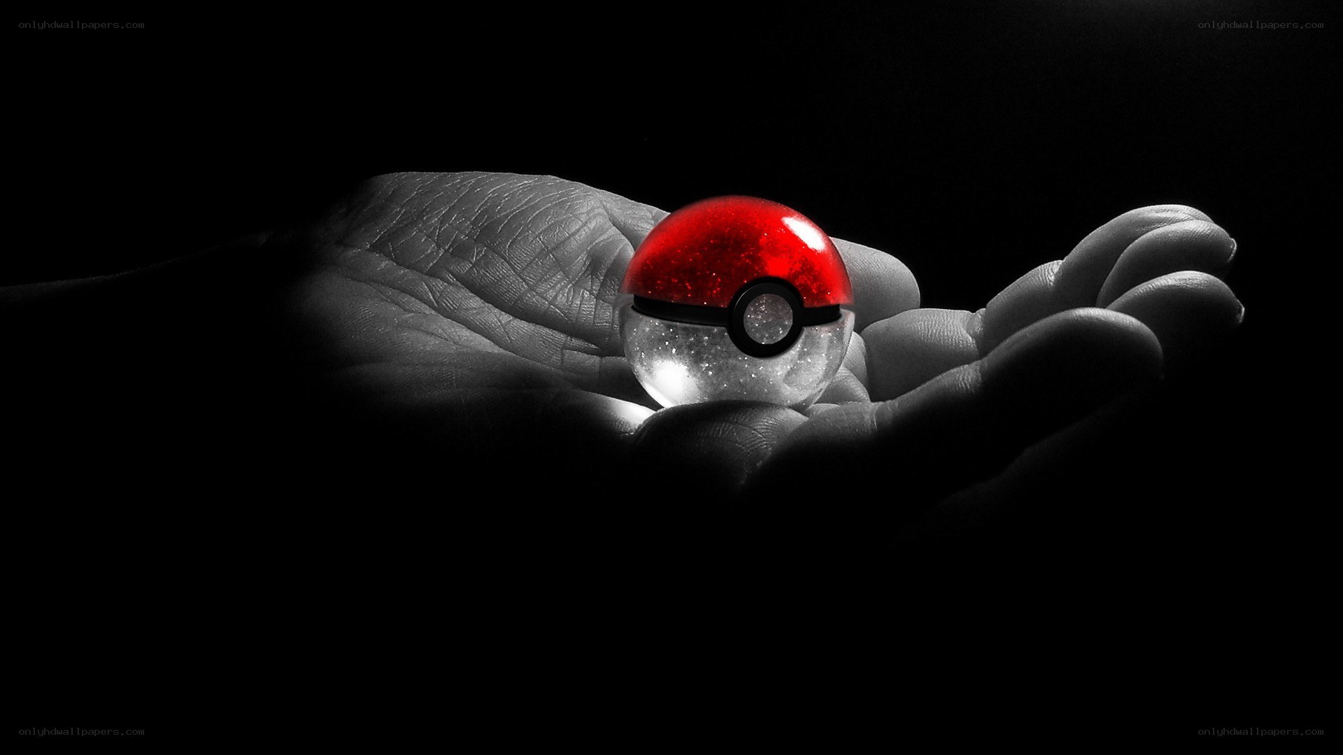 hand holding a pokeball