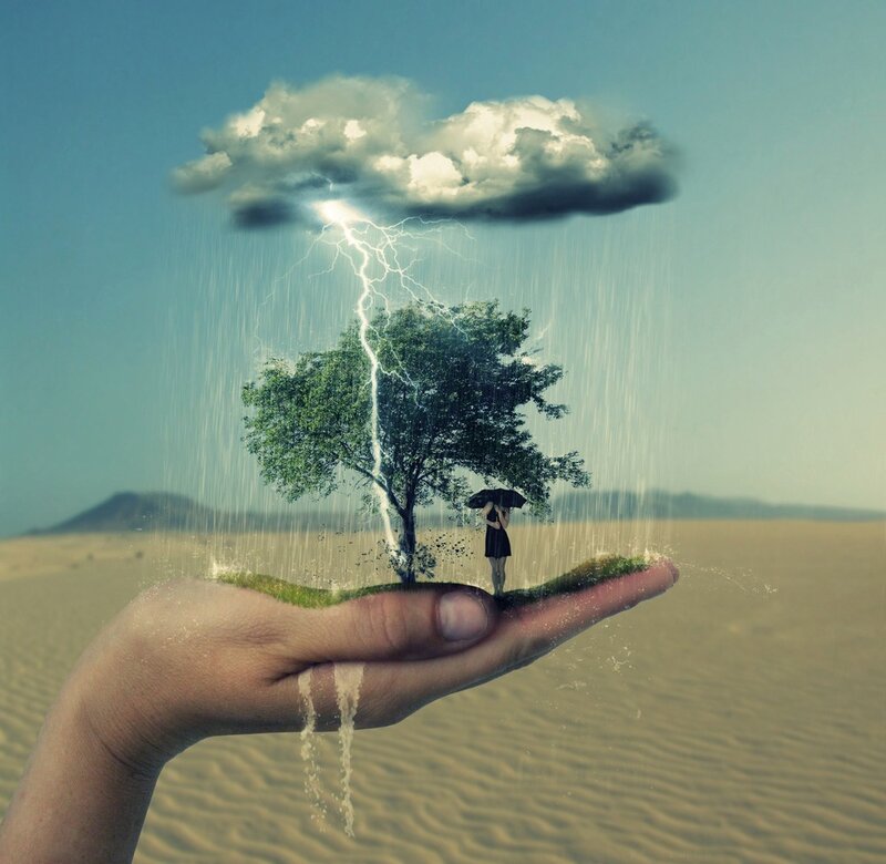 hand holding a rainforest